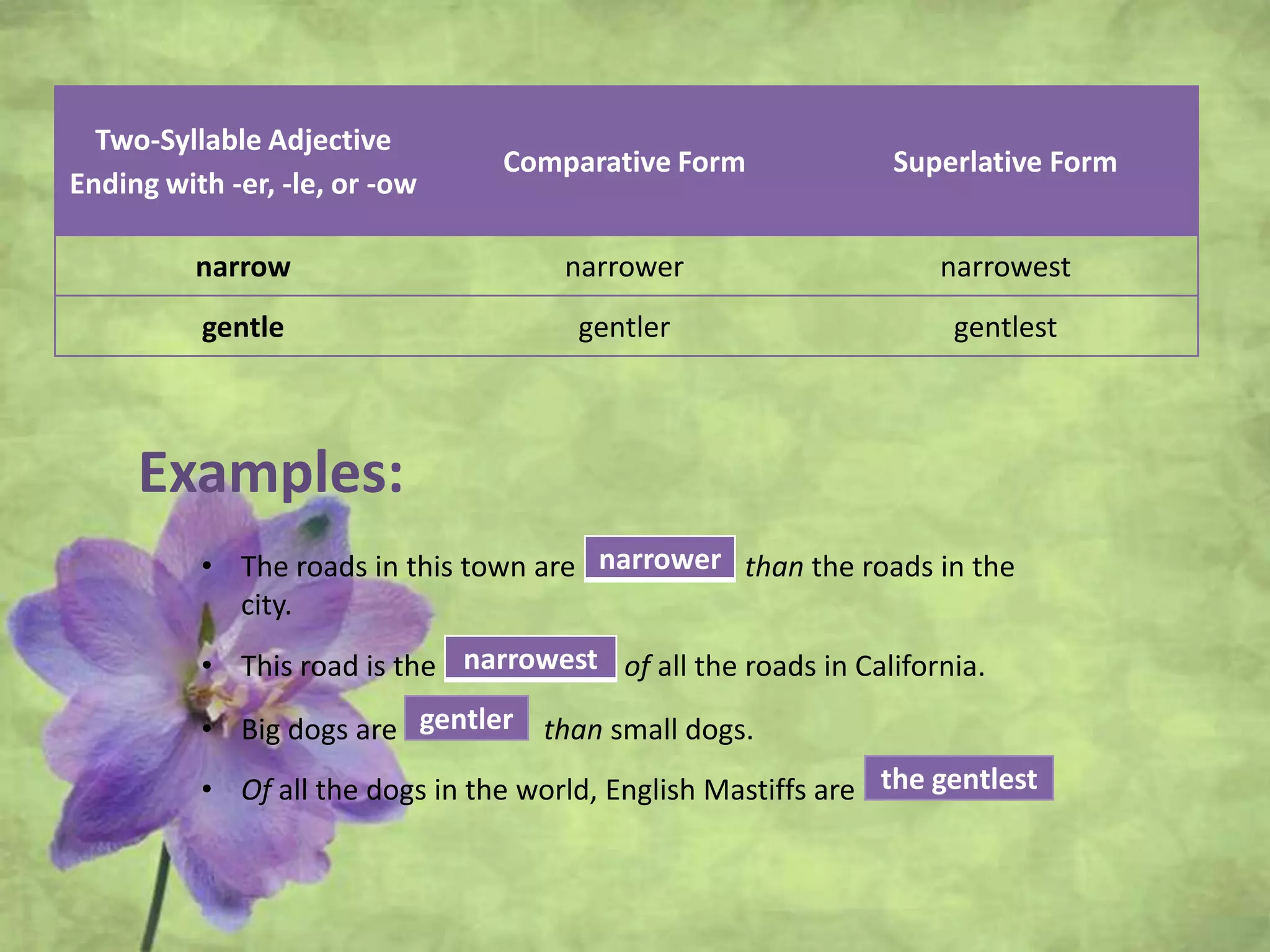 Two-Syllable Adjective
Ending with -er, -le, or -ow
Comparative Form Superlative Form
narrow narrower narrowest
gentle gentler gentlest
Examples:
• The roads in this town are ……………….. than the roads in the
city.
• This road is the …………………. of all the roads in California.
• Big dogs are ………. than small dogs.
• Of all the dogs in the world, English Mastiffs are ………………….
narrower
narrowest
gentler
the gentlest
 