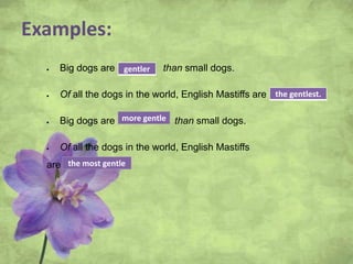 Examples:
Big dogs are ………... than small dogs.
Of all the dogs in the world, English Mastiffs are …………….
Big dogs are …………… than small dogs.
Of all the dogs in the world, English Mastiffs
are ………………..
gentler
the gentlest.
more gentle
the most gentle
 