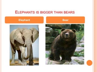ELEPHANTS IS BIGGER THAN BEARS
Elephant Bear
 