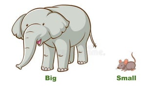 Big Small
 
