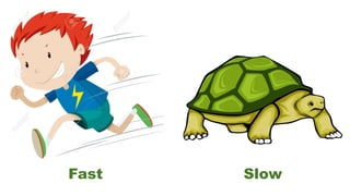 Fast Slow
 