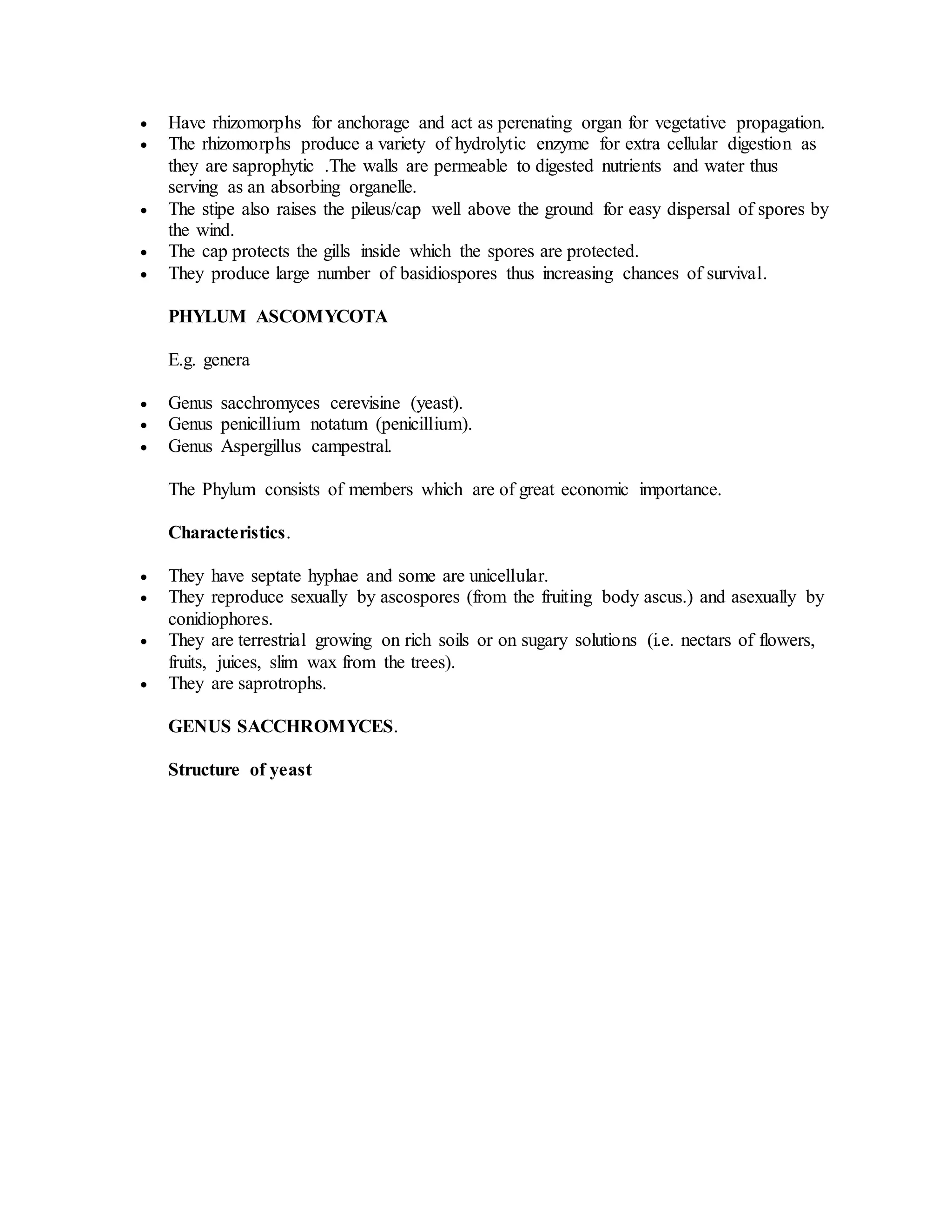  Have rhizomorphs for anchorage and act as perenating organ for vegetative propagation.
 The rhizomorphs produce a variety of hydrolytic enzyme for extra cellular digestion as
they are saprophytic .The walls are permeable to digested nutrients and water thus
serving as an absorbing organelle.
 The stipe also raises the pileus/cap well above the ground for easy dispersal of spores by
the wind.
 The cap protects the gills inside which the spores are protected.
 They produce large number of basidiospores thus increasing chances of survival.
PHYLUM ASCOMYCOTA
E.g. genera
 Genus sacchromyces cerevisine (yeast).
 Genus penicillium notatum (penicillium).
 Genus Aspergillus campestral.
The Phylum consists of members which are of great economic importance.
Characteristics.
 They have septate hyphae and some are unicellular.
 They reproduce sexually by ascospores (from the fruiting body ascus.) and asexually by
conidiophores.
 They are terrestrial growing on rich soils or on sugary solutions (i.e. nectars of flowers,
fruits, juices, slim wax from the trees).
 They are saprotrophs.
GENUS SACCHROMYCES.
Structure of yeast
 