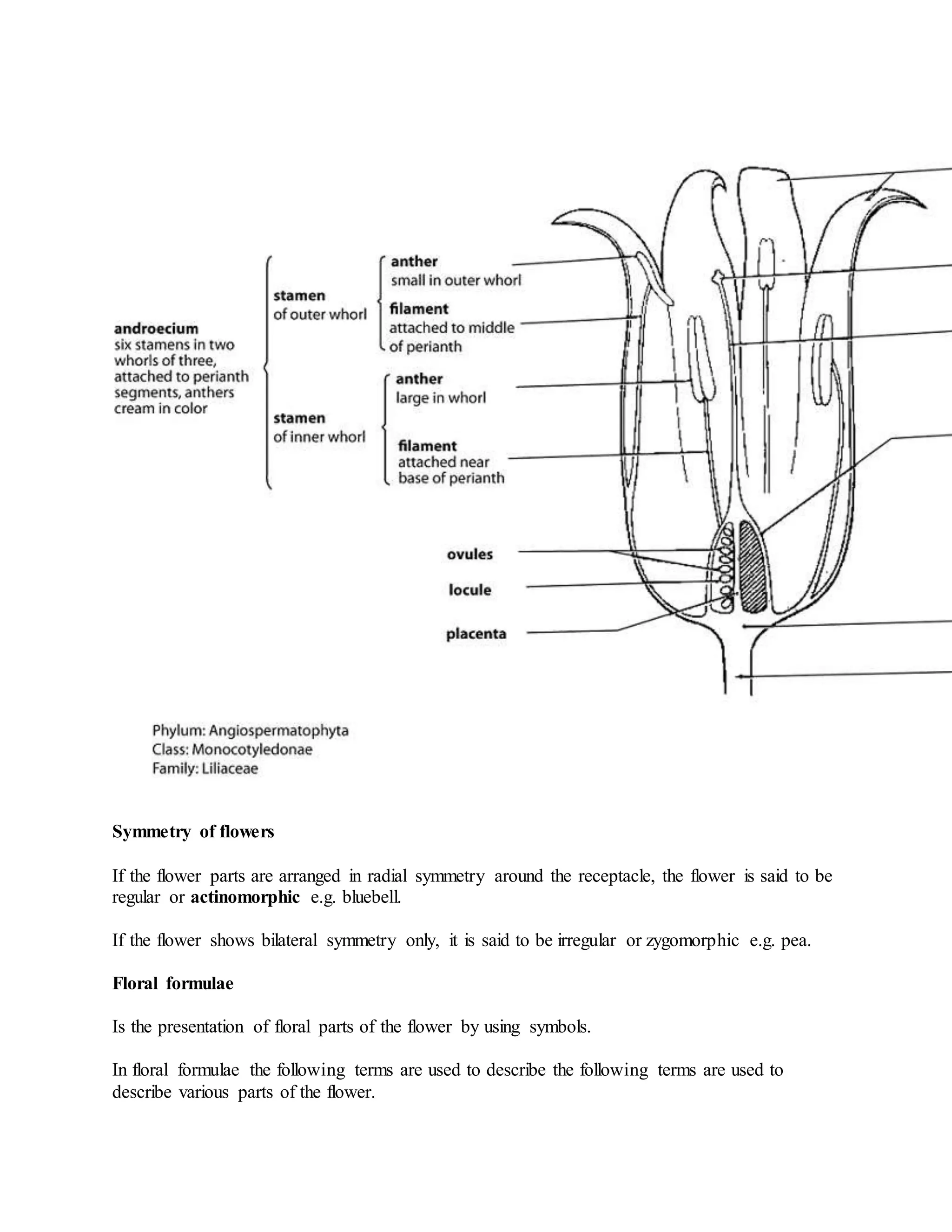 Symmetry of flowers
If the flower parts are arranged in radial symmetry around the receptacle, the flower is said to be
regular or actinomorphic e.g. bluebell.
If the flower shows bilateral symmetry only, it is said to be irregular or zygomorphic e.g. pea.
Floral formulae
Is the presentation of floral parts of the flower by using symbols.
In floral formulae the following terms are used to describe the following terms are used to
describe various parts of the flower.
 