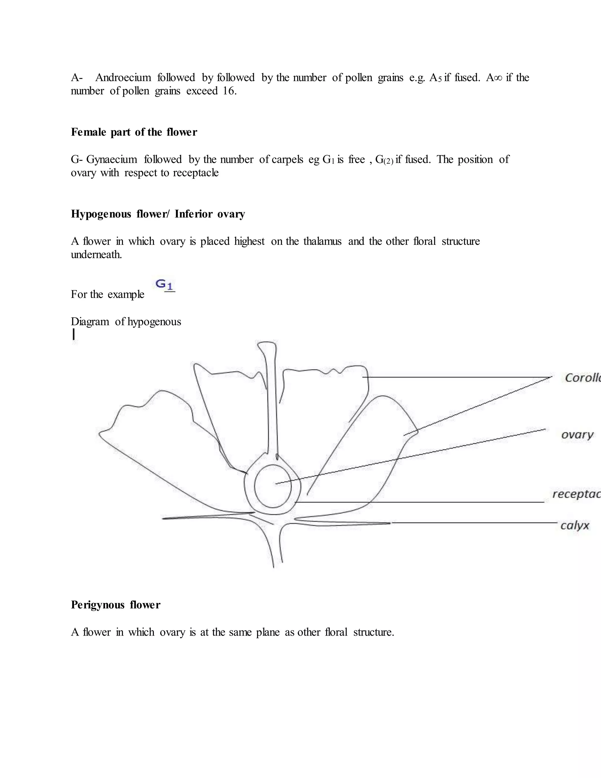 A- Androecium followed by followed by the number of pollen grains e.g. A5 if fused. A∞ if the
number of pollen grains exceed 16.
Female part of the flower
G- Gynaecium followed by the number of carpels eg G1 is free , G(2) if fused. The position of
ovary with respect to receptacle
Hypogenous flower/ Inferior ovary
A flower in which ovary is placed highest on the thalamus and the other floral structure
underneath.
For the example
Diagram of hypogenous
Perigynous flower
A flower in which ovary is at the same plane as other floral structure.
 