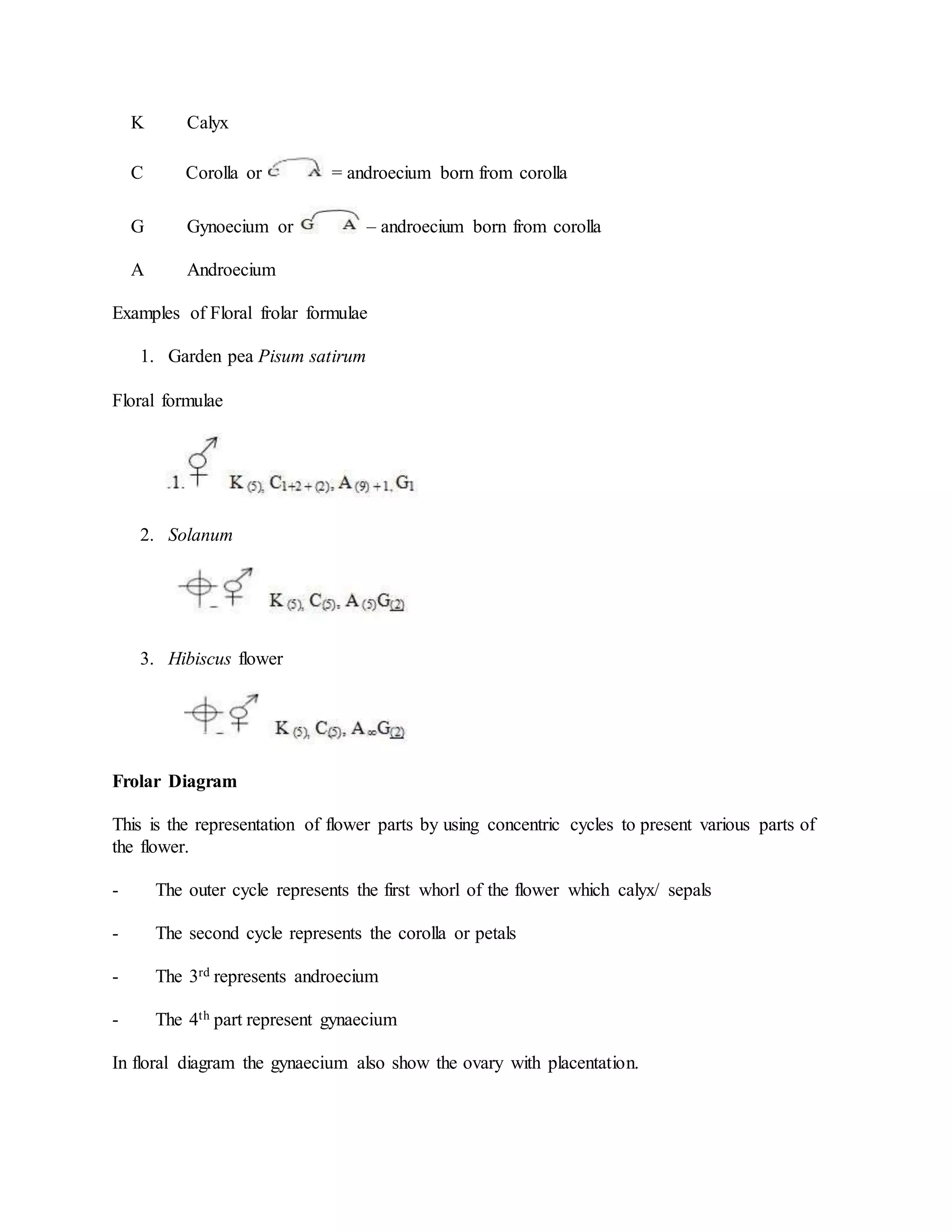 K Calyx
C Corolla or = androecium born from corolla
G Gynoecium or – androecium born from corolla
A Androecium
Examples of Floral frolar formulae
1. Garden pea Pisum satirum
Floral formulae
2. Solanum
3. Hibiscus flower
Frolar Diagram
This is the representation of flower parts by using concentric cycles to present various parts of
the flower.
- The outer cycle represents the first whorl of the flower which calyx/ sepals
- The second cycle represents the corolla or petals
- The 3rd represents androecium
- The 4th part represent gynaecium
In floral diagram the gynaecium also show the ovary with placentation.
 