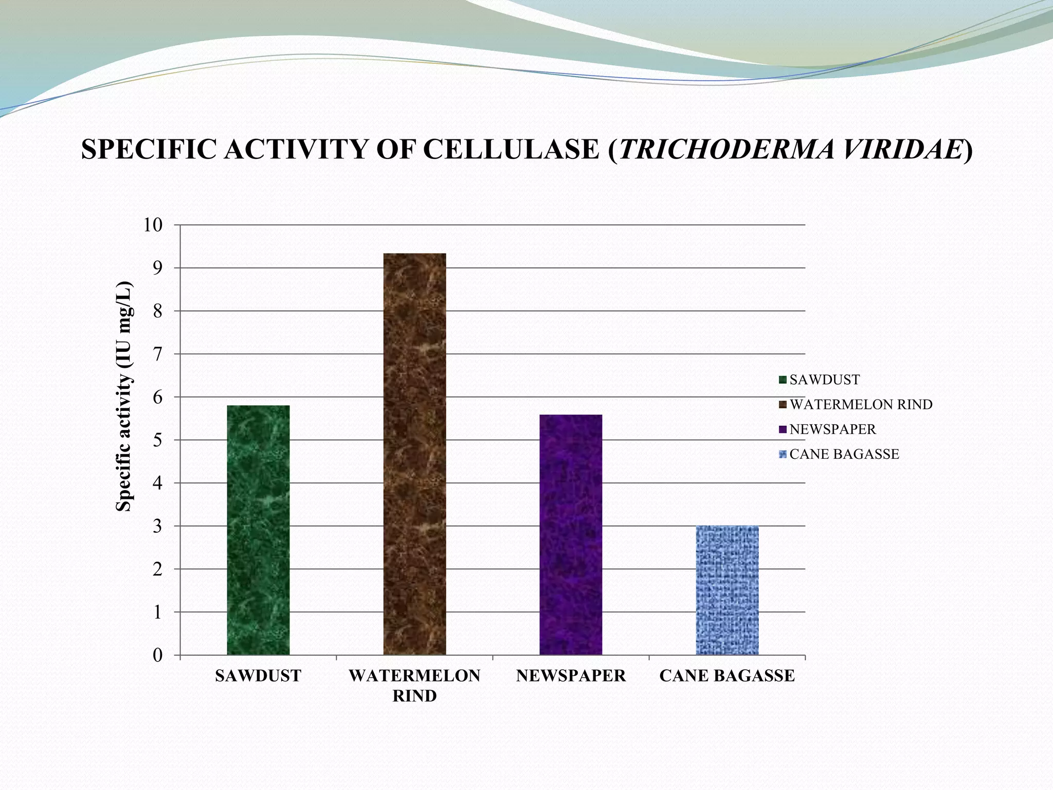 0
1
2
3
4
5
6
7
8
9
10
SAWDUST WATERMELON
RIND
NEWSPAPER CANE BAGASSE
Specificactivity(IUmg/L)
SAWDUST
WATERMELON RIND
NEWSPAPER
CANE BAGASSE
SPECIFIC ACTIVITY OF CELLULASE (TRICHODERMA VIRIDAE)
 