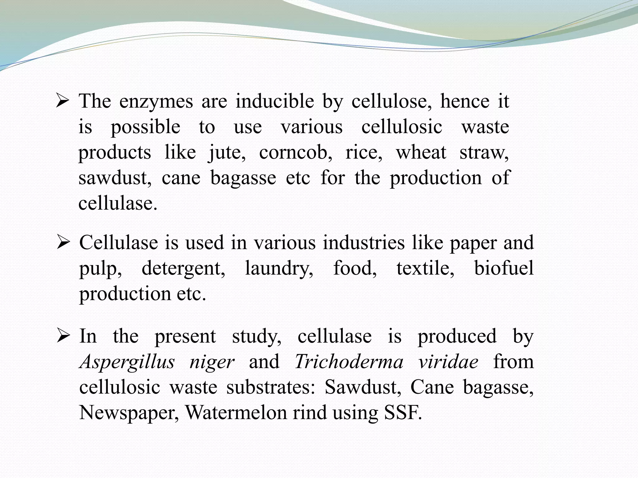  The enzymes are inducible by cellulose, hence it
is possible to use various cellulosic waste
products like jute, corncob, rice, wheat straw,
sawdust, cane bagasse etc for the production of
cellulase.
 Cellulase is used in various industries like paper and
pulp, detergent, laundry, food, textile, biofuel
production etc.
 In the present study, cellulase is produced by
Aspergillus niger and Trichoderma viridae from
cellulosic waste substrates: Sawdust, Cane bagasse,
Newspaper, Watermelon rind using SSF.
 