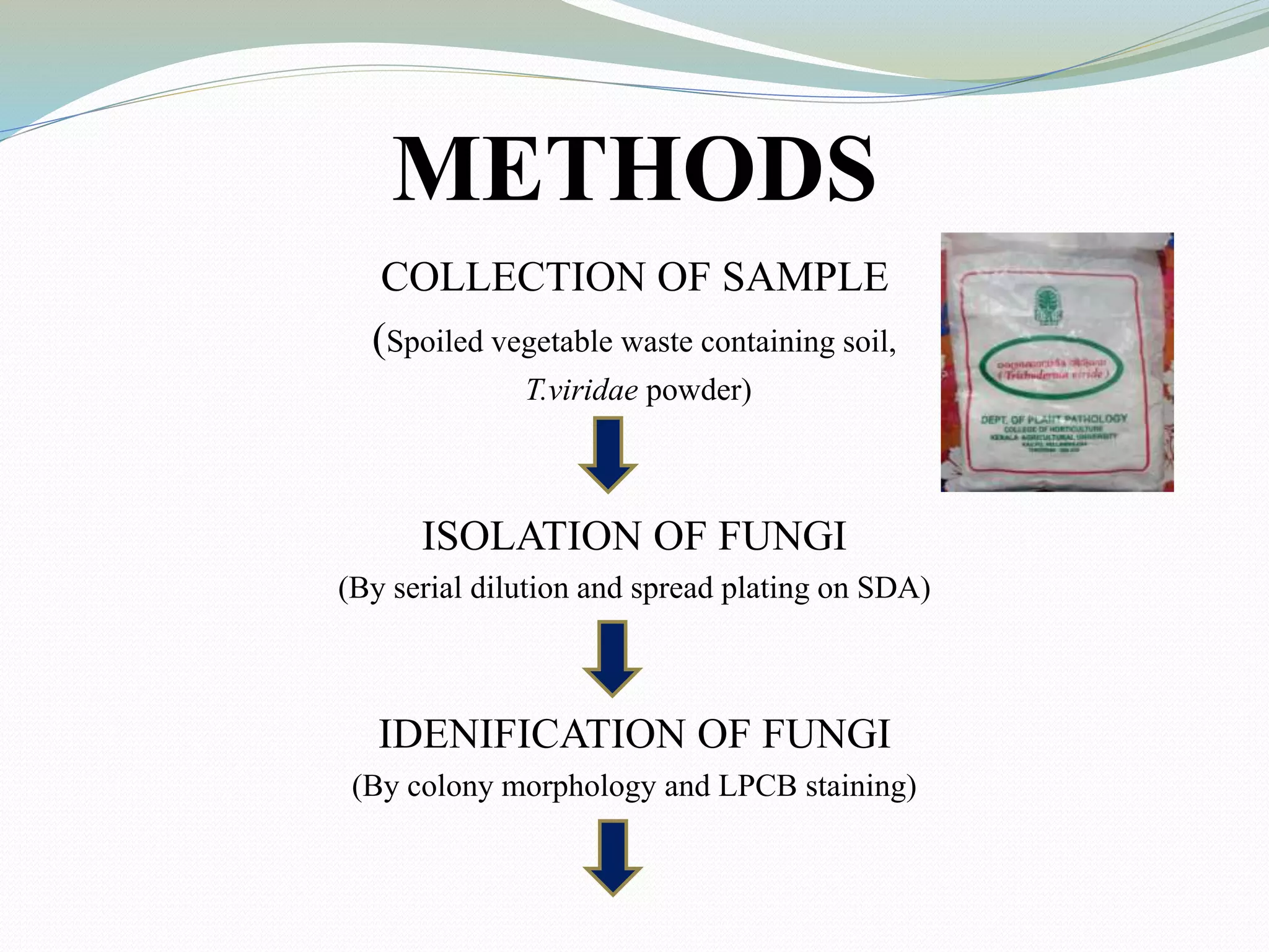METHODS
COLLECTION OF SAMPLE
(Spoiled vegetable waste containing soil,
T.viridae powder)
ISOLATION OF FUNGI
(By serial dilution and spread plating on SDA)
IDENIFICATION OF FUNGI
(By colony morphology and LPCB staining)
 