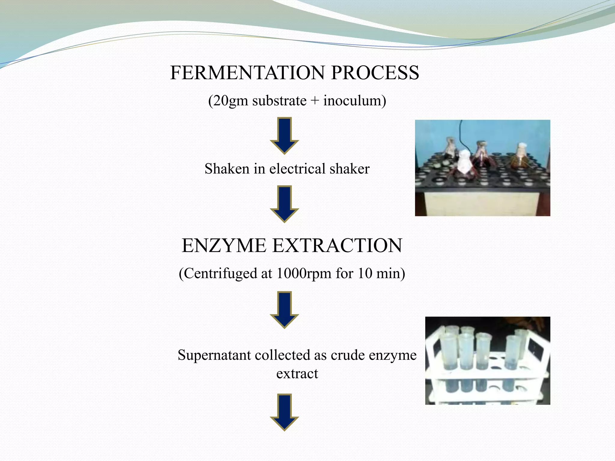 FERMENTATION PROCESS
(20gm substrate + inoculum)
Shaken in electrical shaker
ENZYME EXTRACTION
(Centrifuged at 1000rpm for 10 min)
Supernatant collected as crude enzyme
extract
 