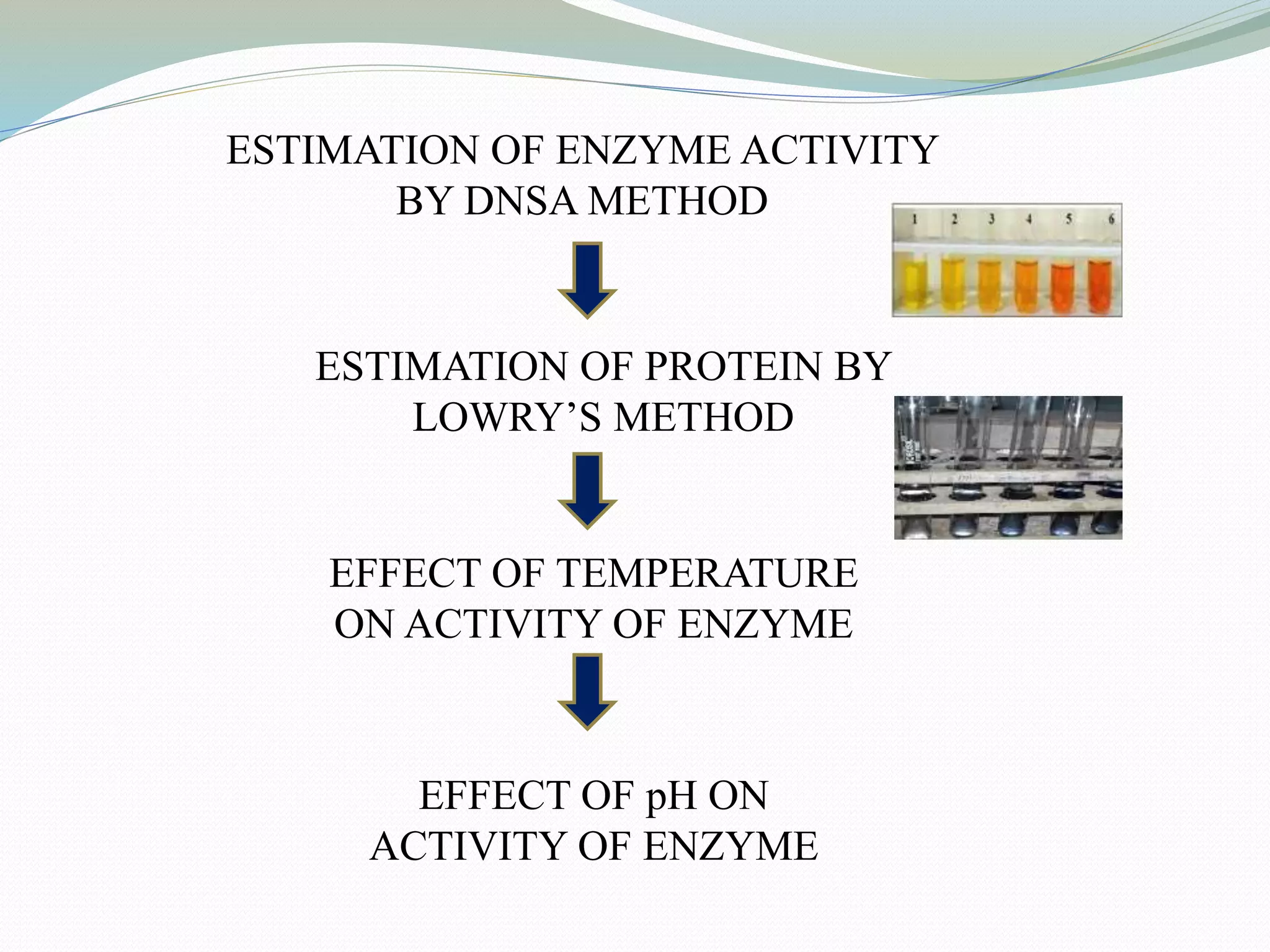 ESTIMATION OF ENZYME ACTIVITY
BY DNSA METHOD
ESTIMATION OF PROTEIN BY
LOWRY’S METHOD
EFFECT OF TEMPERATURE
ON ACTIVITY OF ENZYME
EFFECT OF pH ON
ACTIVITY OF ENZYME
 