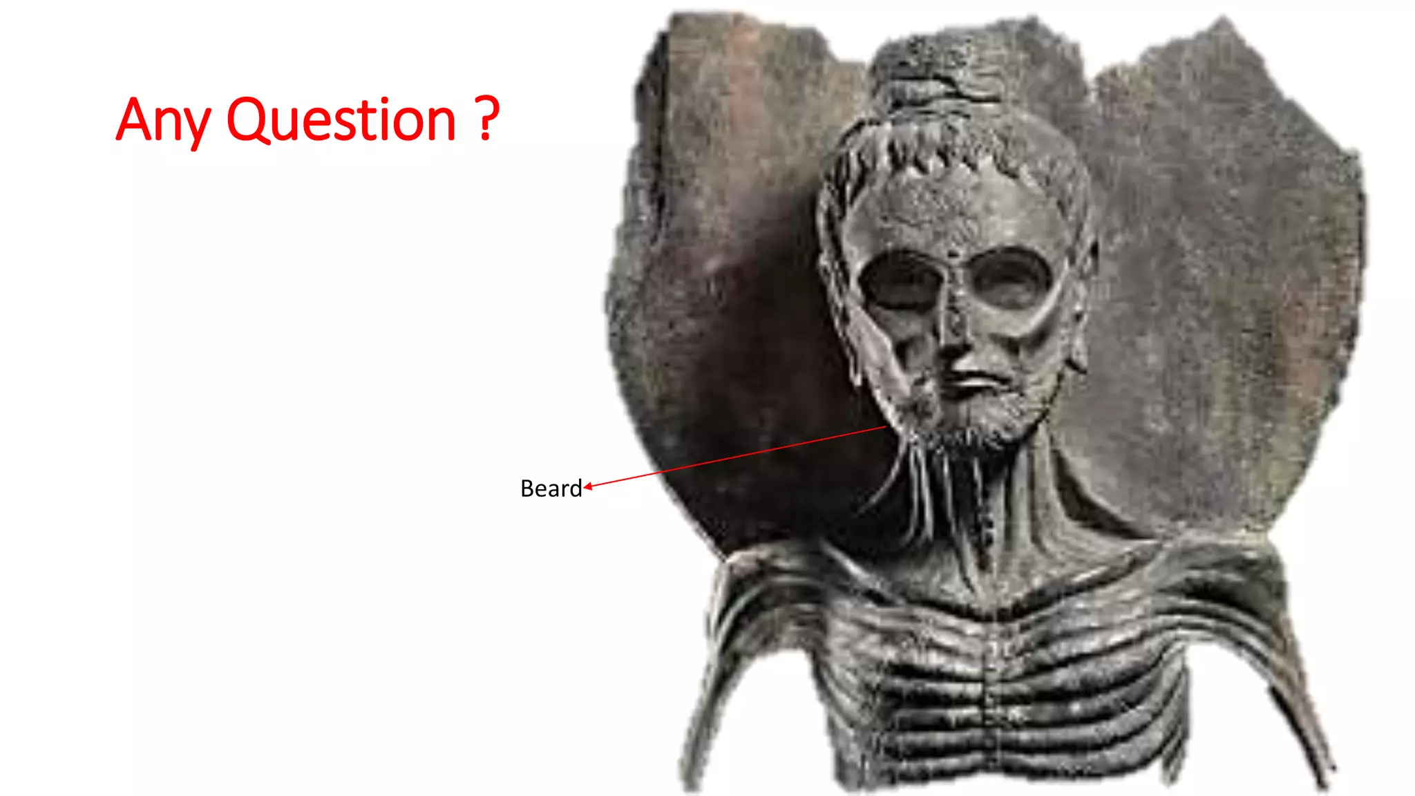 Any Question ?
Beard
 