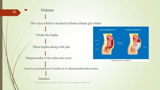  Nidanas
The vayu which is located in kloma sthana get vitiate
Vitiate the kapha
These kapha along with jala
Margavarodha of the ambuvaha srotas
Lead to accumulation of ambu in its sthana(ambuvaha srotas)
Jalodara
comparative study on samprapti of udara roga wsr to bruhatrayee Dr Reshma Asok
36
 