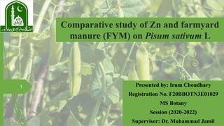 Comparative study of Zn and farmyard
manure (FYM) on Pisum sativum L
Presented by: Irum Choudhary
Registration No. F20BBOTN3E01029
MS Botany
Session (2020-2022)
Supervisor: Dr. Muhammad Jamil
1
 