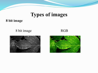 Types of images
8 bit image
8 bit image RGB
 