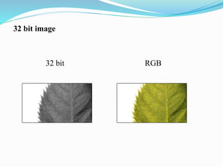 32 bit image
32 bit RGB
 