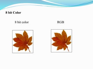 8 bit Color
8 bit color RGB
 