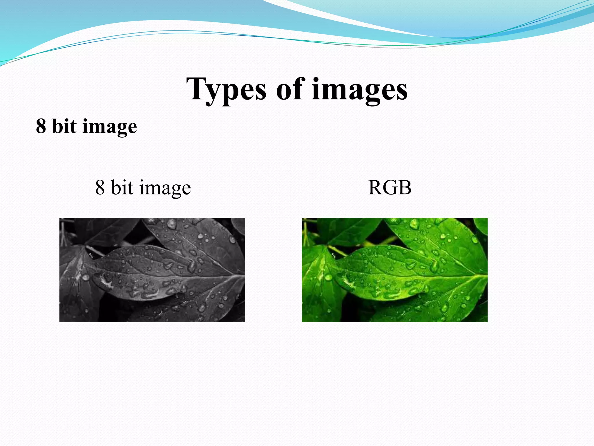 Types of images
8 bit image
8 bit image RGB
 