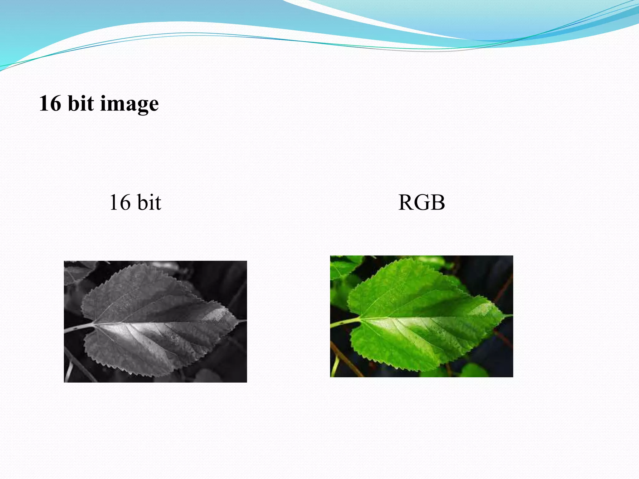 16 bit image
16 bit RGB
 
