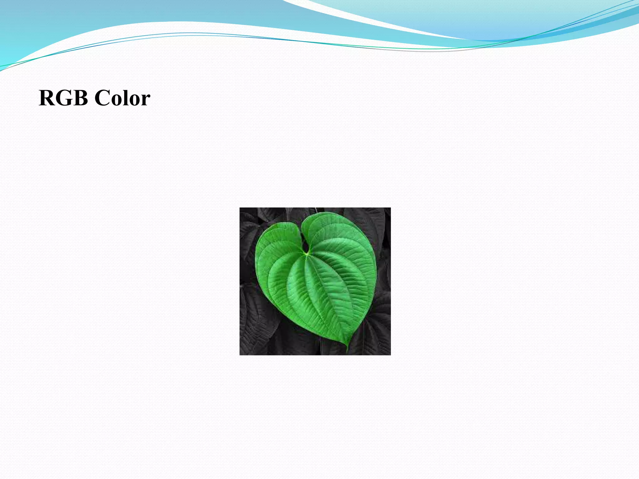 RGB Color
 