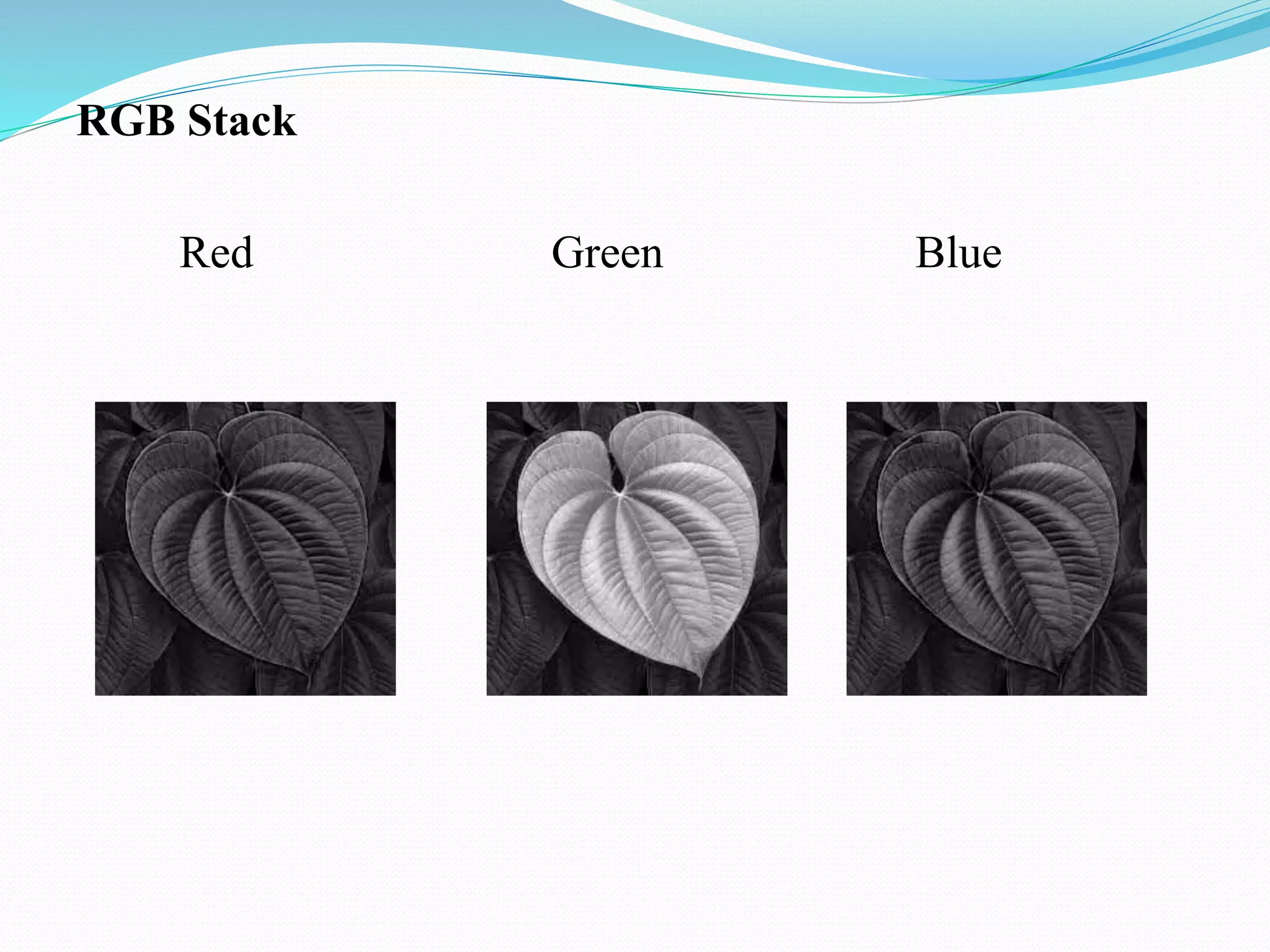 RGB Stack
Red Green Blue
 