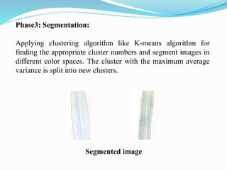 Phase3: Segmentation:
Applying clustering algorithm like K-means algorithm for
finding the appropriate cluster numbers and segment images in
different color spaces. The cluster with the maximum average
variance is split into new clusters.
Segmented image
 