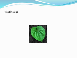 RGB Color
 