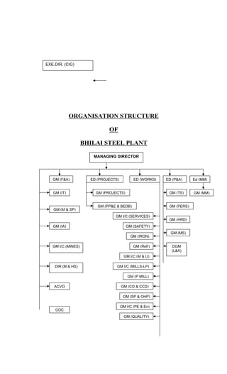 ORGANISATION STRUCTURE
OF
BHILAI STEEL PLANT
EXE.DIR. (CIG)
MANAGING DIRECTOR
GM (F&A)
GM (IT)
GM (M & SP)
GM (IA)
GM I/C (MINES)
DIR (M & HS)
ACVO
COC
ED (PROJECTS) ED (WORKS)
GM (PROJECTS)
GM (PP&E & BEDB)
ED (P&A) Ed (MM)
GM I/C (SERVICES)
GM (SAFETY)
GM (IRON)
GM (Refr)
GM I/C (M & U)
GM I/C (MILLS-LP)
GM (P MILL)
GM (CO & CCD)
GM (SP & OHP)
GM I/C (PE & En)
GM (QUALITY)
GM (TS)
GM (PERS)
GM (HRD)
GM (MS)
DGM
(L&A)
GM (MM)
 