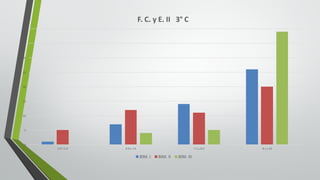 0
5
10
15
20
25
30
35
40
5.0	Y	5.9 6.0	y	7.0 7.1	y	8.0 8.1	y	10
F.	C.	y	E.	II			3° C
BIM.	I BIM.	II BIM.	III
 