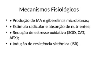 Mecanismos Fisiológicos
• • Produção de IAA e giberelinas microbianas;
• • Estímulo radicular e absorção de nutrientes;
• • Redução de estresse oxidativo (SOD, CAT,
APX);
• • Indução de resistência sistêmica (ISR).
 