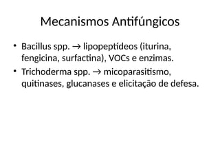 Mecanismos Antifúngicos
• Bacillus spp. → lipopeptídeos (iturina,
fengicina, surfactina), VOCs e enzimas.
• Trichoderma spp. → micoparasitismo,
quitinases, glucanases e elicitação de defesa.
 