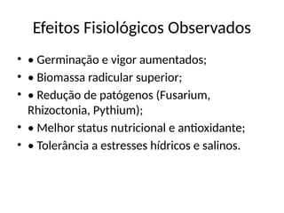 Efeitos Fisiológicos Observados
• • Germinação e vigor aumentados;
• • Biomassa radicular superior;
• • Redução de patógenos (Fusarium,
Rhizoctonia, Pythium);
• • Melhor status nutricional e antioxidante;
• • Tolerância a estresses hídricos e salinos.
 