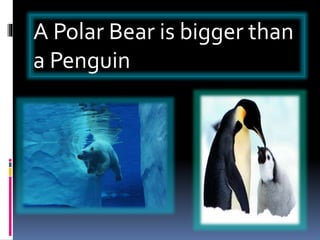 A Polar Bear is bigger than
a Penguin
 