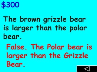 The brown grizzle bear
is larger than the polar
bear.
$300
False. The Polar bear is
larger than the Grizzle
Bear.
 
