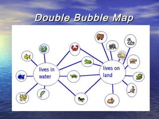 Double Bubble Map

 