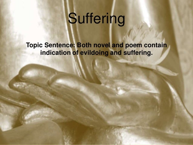 Novel essay