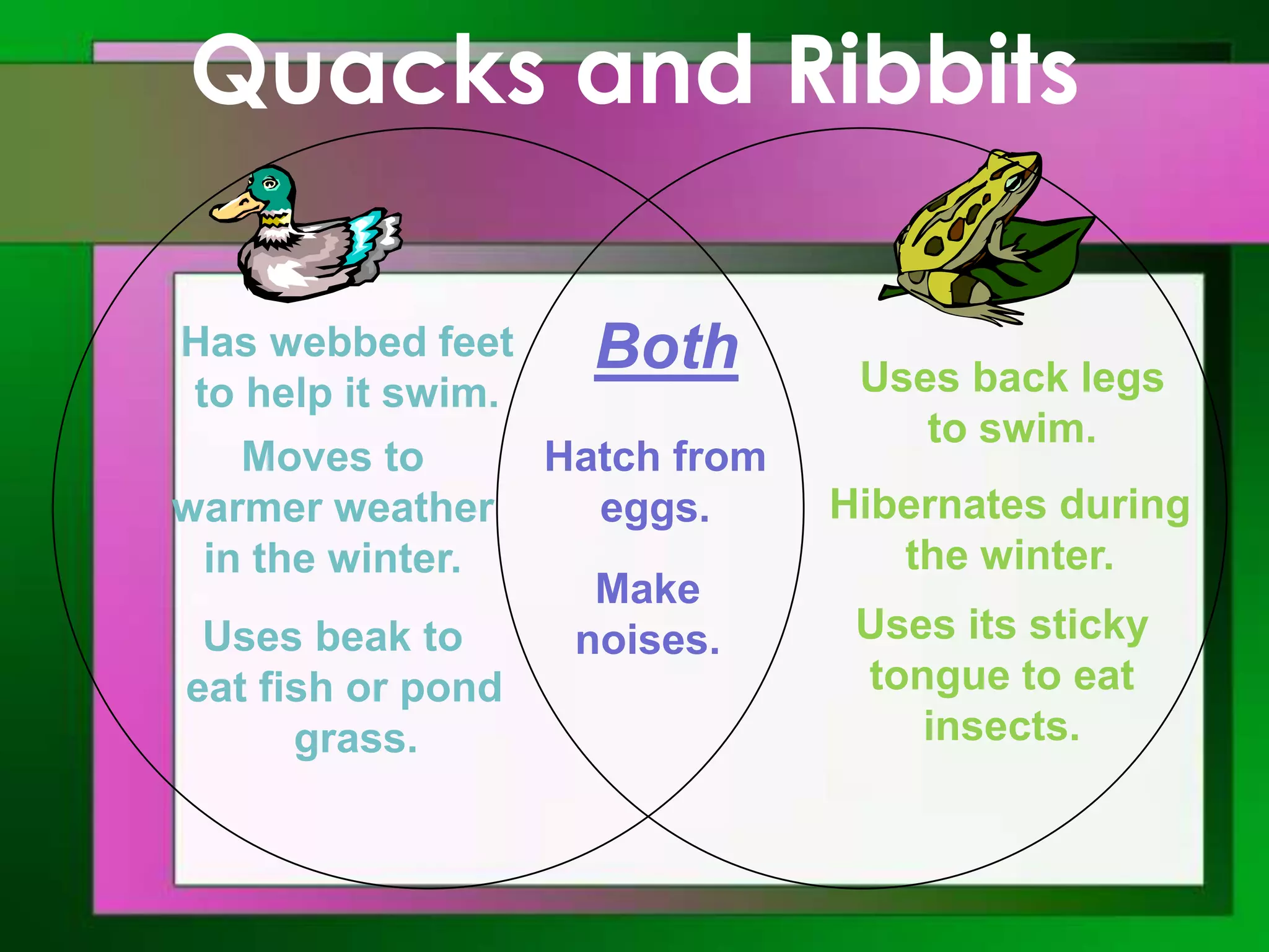 Quacks and Ribbits
Has webbed feet
to help it swim.
Moves to
warmer weather
in the winter.
Uses beak to
eat fish or pond
grass.

Both
Hatch from
eggs.
Make
noises.

Uses back legs
to swim.
Hibernates during
the winter.

Uses its sticky
tongue to eat
insects.

 