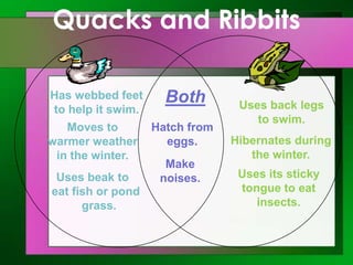 Quacks and Ribbits
Has webbed feet
to help it swim.
Moves to
warmer weather
in the winter.
Uses beak to
eat fish or pond
grass.

Both
Hatch from
eggs.
Make
noises.

Uses back legs
to swim.
Hibernates during
the winter.

Uses its sticky
tongue to eat
insects.

 