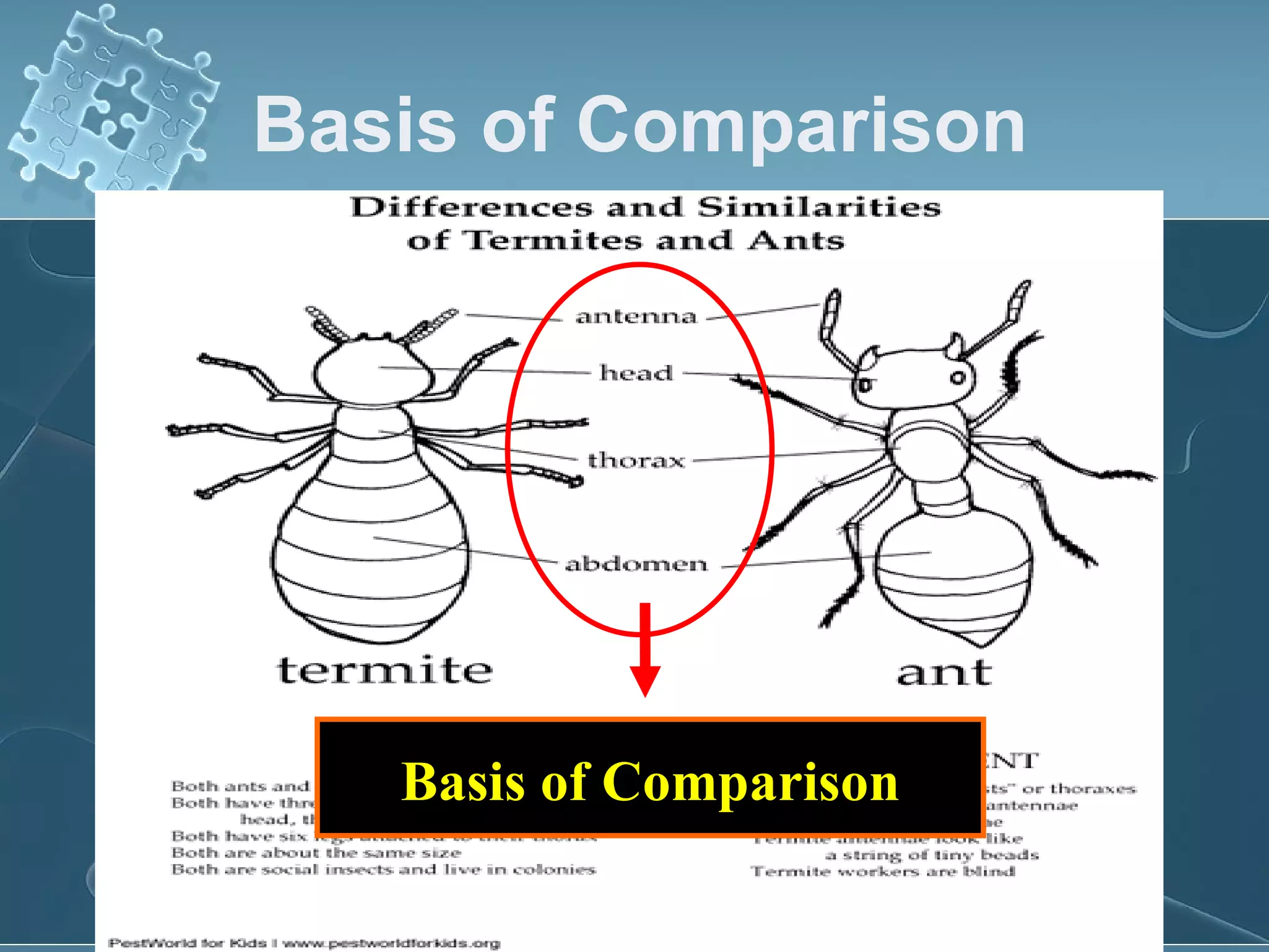 Basis of Comparison Basis of Comparison 