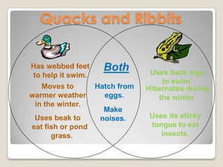 Compare and contrast for Fifth Grade | PPT