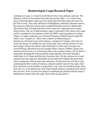 Banisteriopsis Caapi Research Paper
Ayahuasca or yage, is a ritual by itself that involves time, patience and care. The
shamans, which are the people who make the mixture split a 1 to 2 meter long
piece of Banisteriopsis caapi stem into small strips then they place the strips in a
pot full of water. They then add leaves of Diplopterys cabrerana, Herrania species,
Ilex guayusa, Heliconia stricta, and an unidentified plant known as Mukuyasku.
The mixture then is boiled until most of the water has evaporated and a syrupy
fluid remains. The use of Banisteriopsis caapi is important in the recipe since caapi
itself is considered to be ayahuasca while the DMT containing plants are simply
helpers. To make ayahuasca you will need 50 grams of Banisteriopsis caapi (the
whole vine) 12 grams of... Show more content on Helpwriting.net ...
Second you will need to put in the mimosa, a teaspoon of vinegar, and a liter of
water into the pot. In another pot, put in the caapi, and a similar amount of water
and vinegar. Simmer for about 2 and a half hours or until water level gets low.
Avoid boiling it should be just cool enough where it doesn t bubbles. Speak your
intentions to the brew as it is brewing; listen to the sounds it makes. Do not leave it
unattended. Keeping the mimosa and the caapi separate, filter each through a
cloth about 4 or 5 times until the brew becomes clear. Put the mimosa tea in a pot
separate from the caapi pot. Remember do not fully boil it Repeat the steps three
times, keeping the mimosa and caapi separately. At this point you will have a pot
containing the three washes of mimosa, reduced, and the same for the caapi. Each
dose should be, nor do smaller or larger than a cup. Your tea should be pretty clean
from now on. It should become clear when heated, and have a purplish color almost
like red wine. Now you have the option of combining the mimosa and the caapi or
drinking the mimosa after the caapi. Heat up the tea and drink it
 