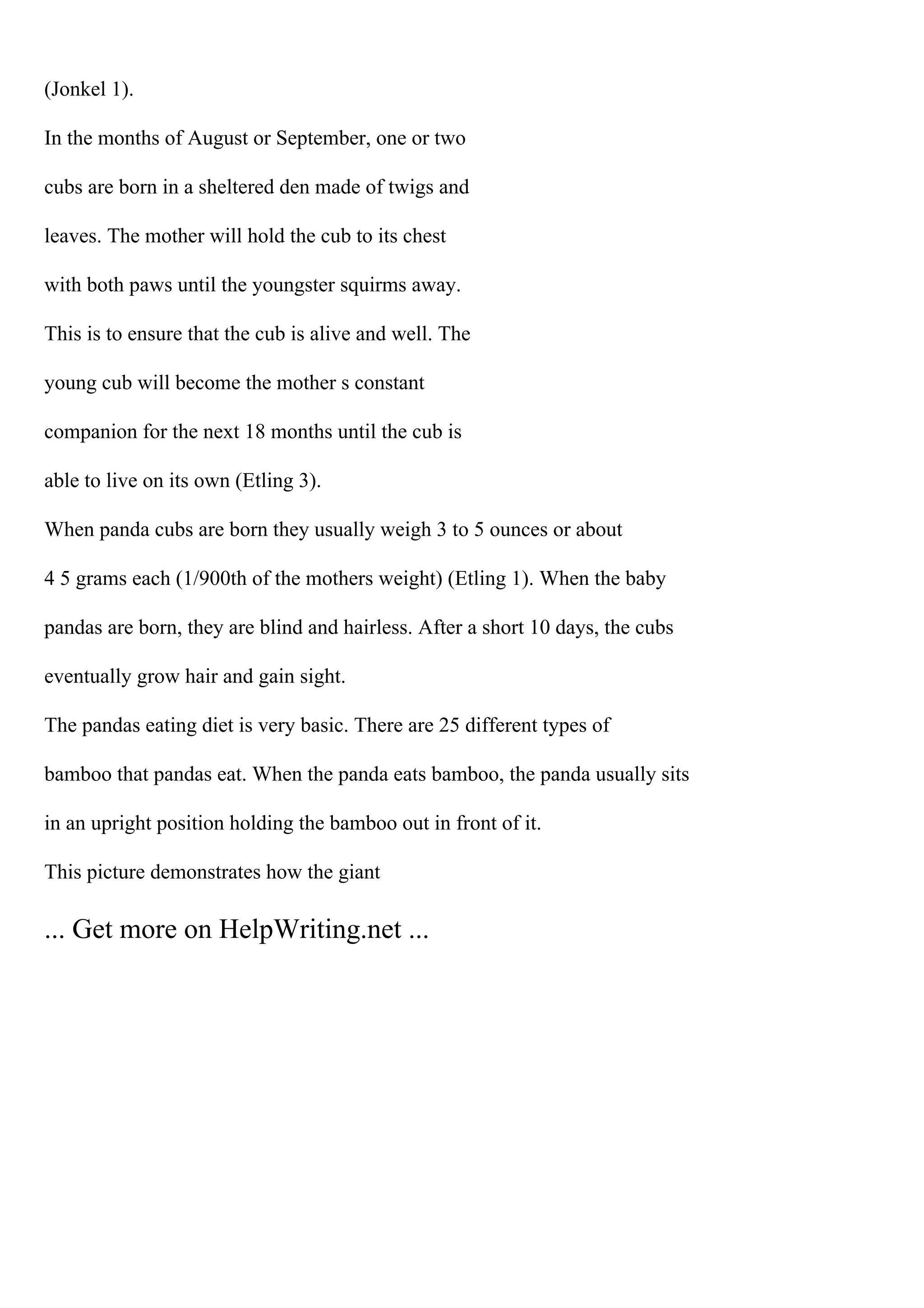 (Jonkel 1).
In the months of August or September, one or two
cubs are born in a sheltered den made of twigs and
leaves. The mother will hold the cub to its chest
with both paws until the youngster squirms away.
This is to ensure that the cub is alive and well. The
young cub will become the mother s constant
companion for the next 18 months until the cub is
able to live on its own (Etling 3).
When panda cubs are born they usually weigh 3 to 5 ounces or about
4 5 grams each (1/900th of the mothers weight) (Etling 1). When the baby
pandas are born, they are blind and hairless. After a short 10 days, the cubs
eventually grow hair and gain sight.
The pandas eating diet is very basic. There are 25 different types of
bamboo that pandas eat. When the panda eats bamboo, the panda usually sits
in an upright position holding the bamboo out in front of it.
This picture demonstrates how the giant
... Get more on HelpWriting.net ...
 