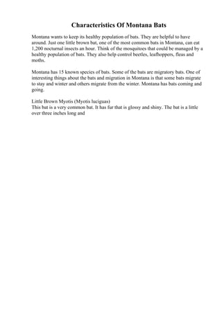 Characteristics Of Montana Bats
Montana wants to keep its healthy population of bats. They are helpful to have
around. Just one little brown bat, one of the most common bats in Montana, can eat
1,200 nocturnal insects an hour. Think of the mosquitoes that could be managed by a
healthy population of bats. They also help control beetles, leafhoppers, fleas and
moths.
Montana has 15 known species of bats. Some of the bats are migratory bats. One of
interesting things about the bats and migration in Montana is that some bats migrate
to stay and winter and others migrate from the winter. Montana has bats coming and
going.
Little Brown Myotis (Myotis luciguas)
This bat is a very common bat. It has fur that is glossy and shiny. The bat is a little
over three inches long and
 