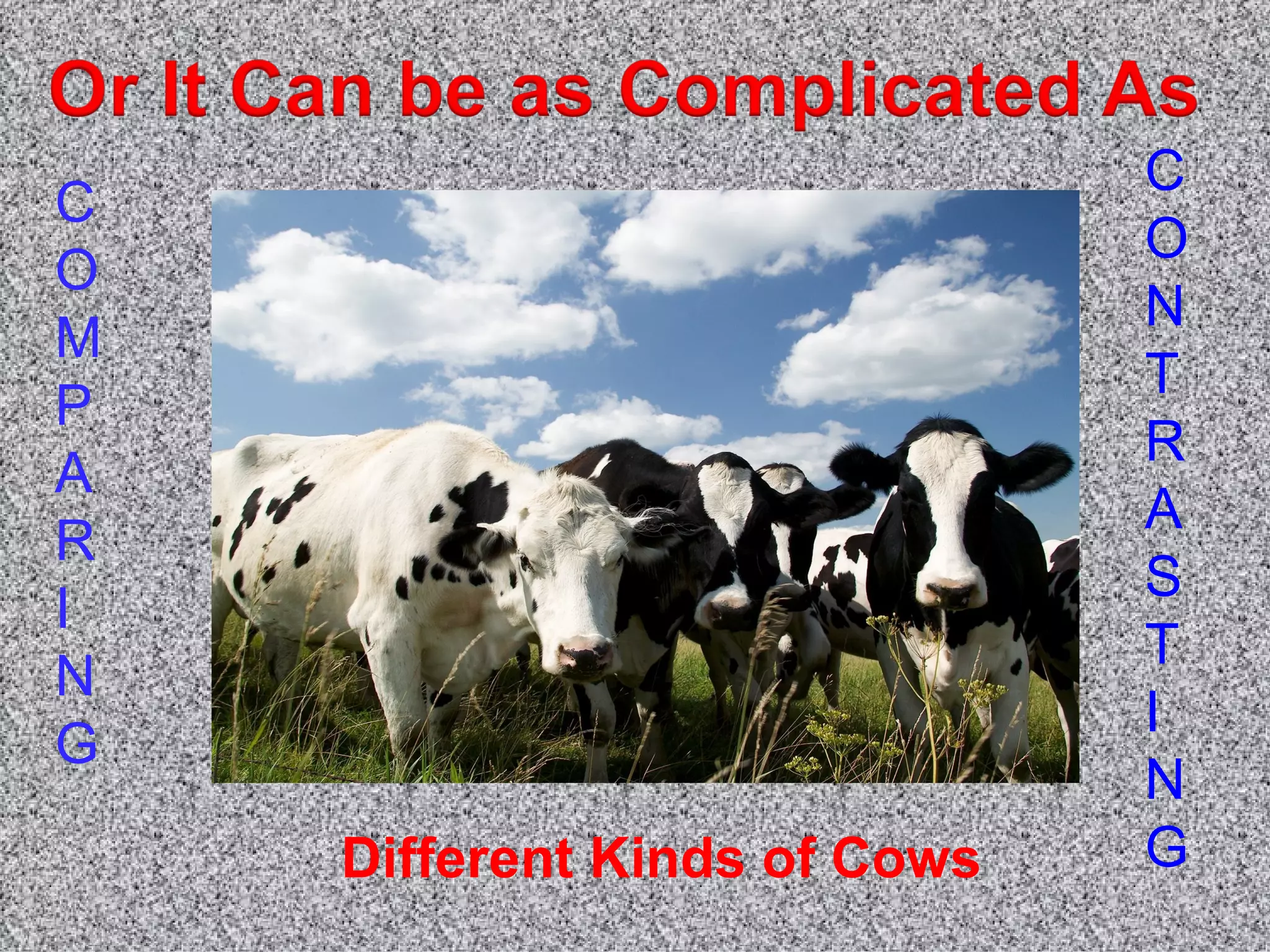 C
C
                              O
O
                              N
M
                              T
P
                              R
A
                              A
R
                              S
I
                              T
N
                              I
G
                              N
    Different Kinds of Cows   G
 