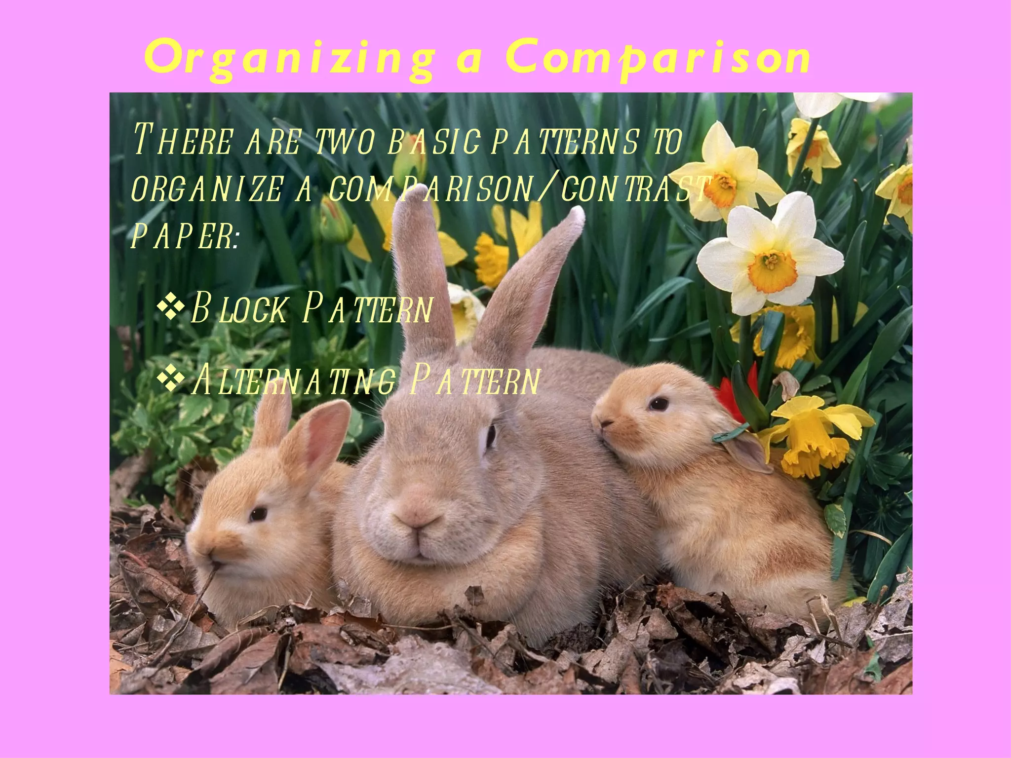 Or g a n i zi n g a Com pa r i s on
T here are two b asic p atterns to
organize a com p arison/contrast
p ap er:
 B lock P attern
 Alternating P attern
 