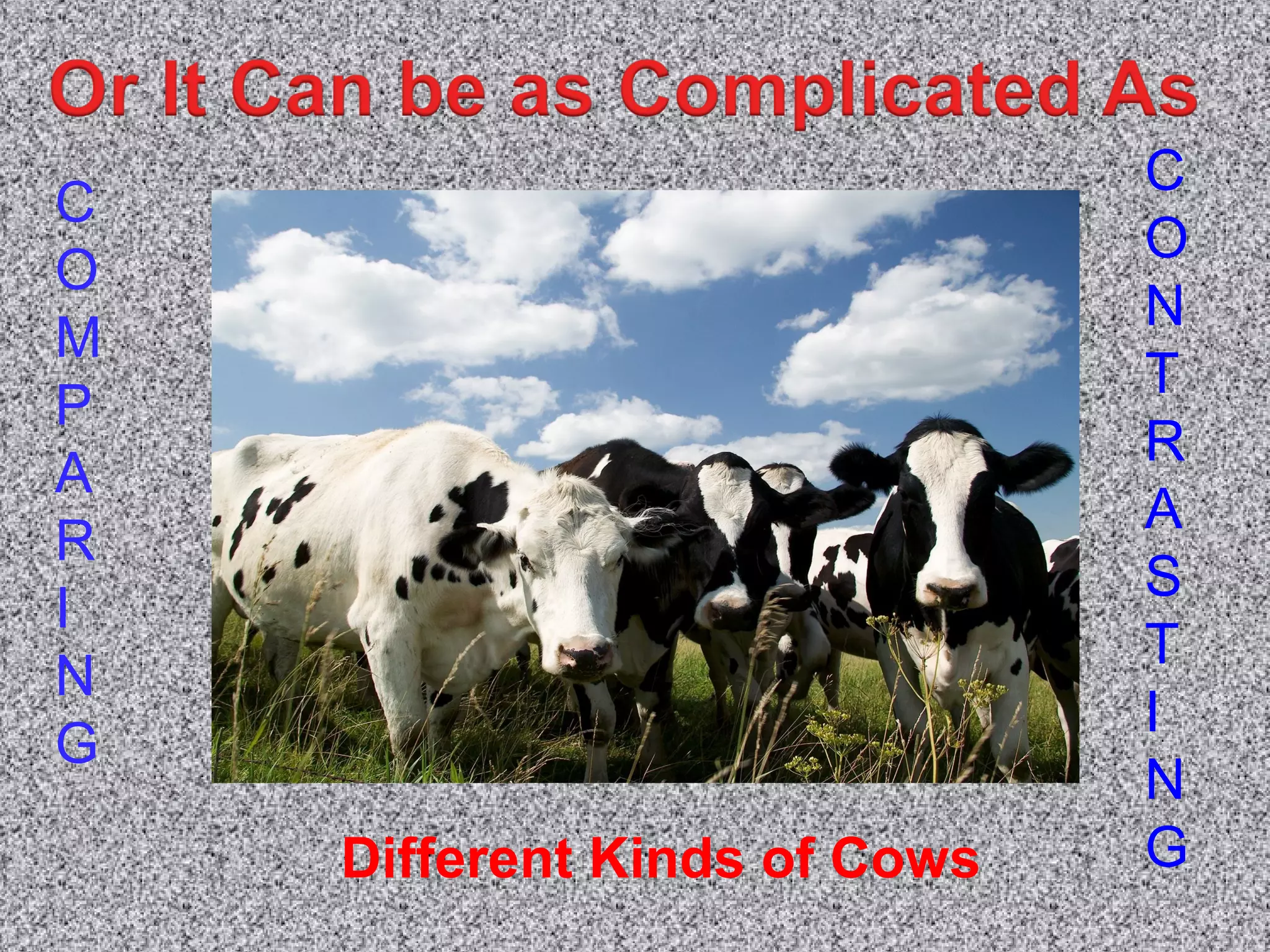 C
O
M
P
A
R
I
N
G
C
O
N
T
R
A
S
T
I
N
GDifferent Kinds of Cows
 