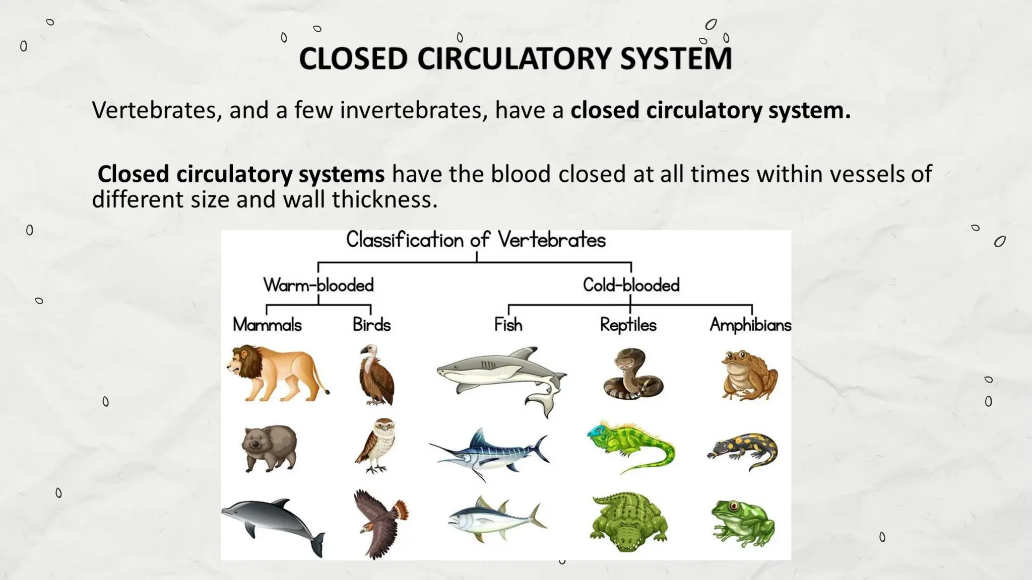 Compare and Contrast Processes in Plants and Animals - Transport and ...