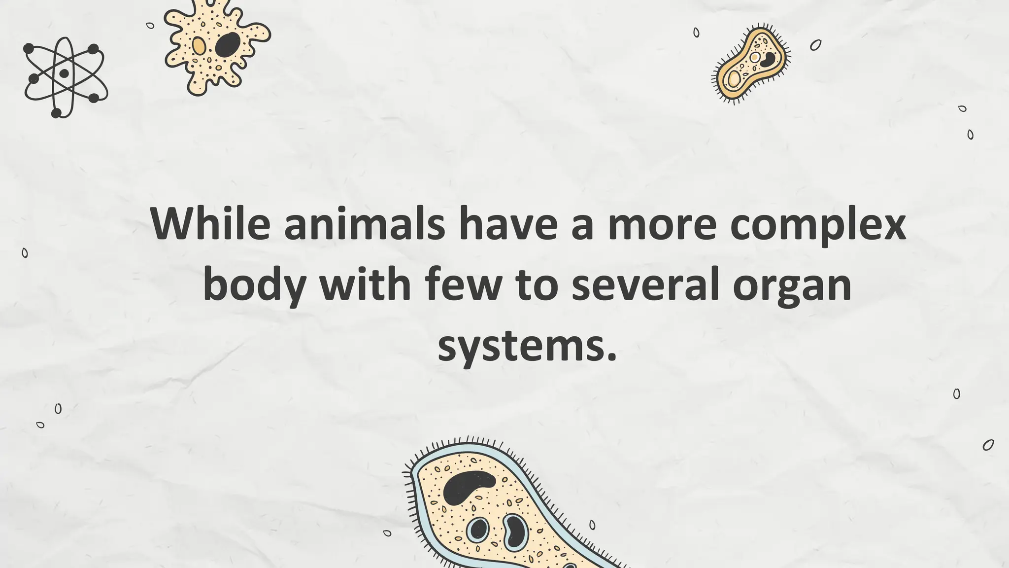 Compare and Contrast Processes in Plants and Animals - Transport and ...