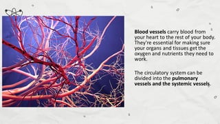 Compare and Contrast Processes in Plants and Animals - Transport and ...