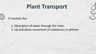 Compare and Contrast Processes in Plants and Animals - Transport and ...