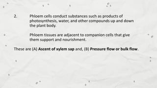 Compare and Contrast Processes in Plants and Animals - Transport and ...